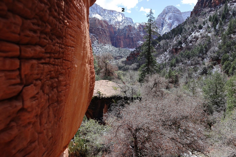 Lustre Paper Print Original Picture Photo Wall Art Decor Photography Landscape Zion Canyons Utah Scene 2