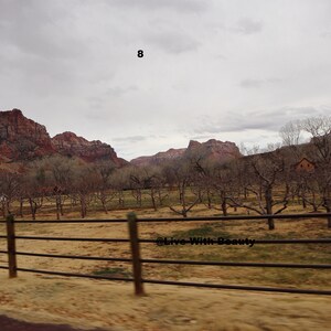 Lustre Paper Print Original Picture Photo Wall Art Decor Photography Landscape Zion Canyons Utah Scene 8