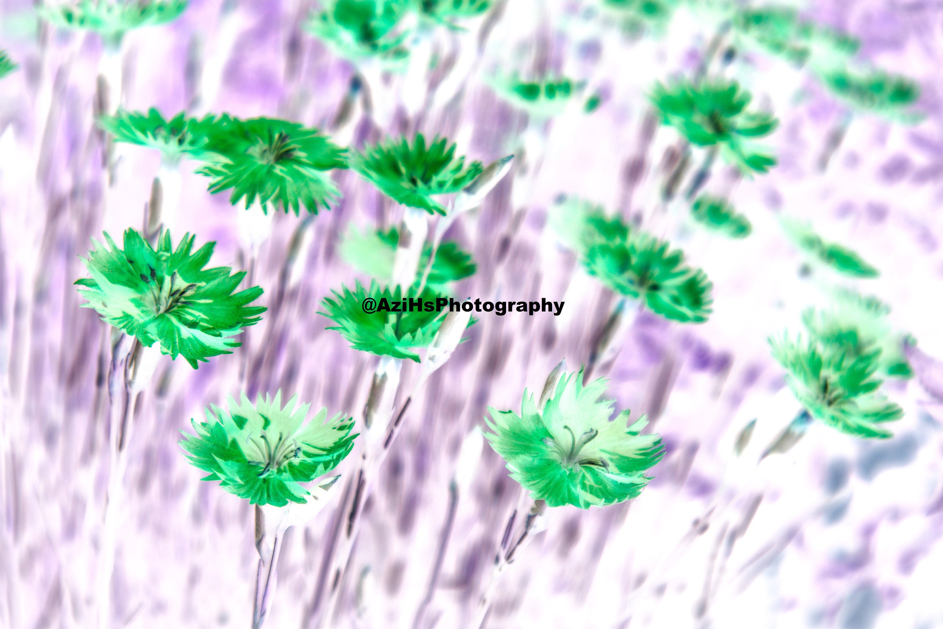 Nature Color Inverted Digital Invert Image Picture Photo Wide Wallpaper Landscape Nature ...