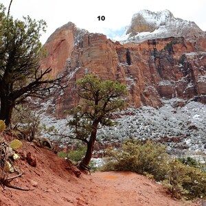 Lustre Paper Print Original Picture Photo Wall Art Decor Photography Landscape Zion Canyons Utah Scene 10