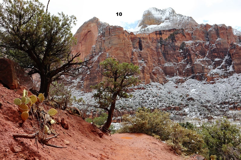 Lustre Paper Print Original Picture Photo Wall Art Decor Photography Landscape Zion Canyons Utah Scene 10