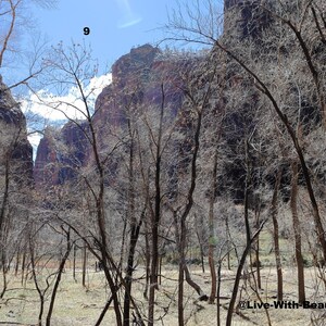 Lustre Paper Print Original Picture Photo Wall Art Decor Photography Landscape Zion Canyons Utah Scene 9