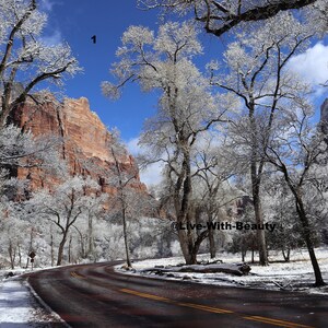 Lustre Paper Print Original Picture Photo Wall Art Decor Photography Landscape Zion Canyons Utah Bild 1
