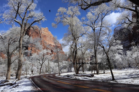 Lustre Paper Print Original Picture Photo Wall Art Decor Photography Landscape Zion Canyons Utah