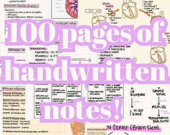 Anatomie & Physiologie handschriftliche Notizen/Lernmaterial
