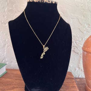 以下が含まれることがあります： 黒いベルベットのバストに、州の輪郭の形をしたペンダントが付いたゴールドカラーのネックレスが表示されています。ペンダントは繊細なチェーンから吊り下げられています。バストは木製の表面に置かれています。