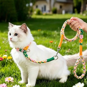 May include: A white cat wearing a colorful braided collar and leash set, sitting in a grassy area with flowers. The leash and collar feature orange, green, and pink accents. The cat has blue eyes and is looking to the left.