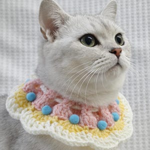 May include: A silver cat wearing a handmade crochet collar. The collar features a scalloped edge with alternating sections of white, yellow, and pink. Small blue pom-poms are evenly spaced around the collar, adding a playful touch.