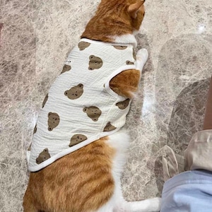 May include: An orange and white cat wearing a white pet vest with a repeating pattern of brown bear faces. The vest has a white collar and armholes. The cat is lying down on a marble-like surface.