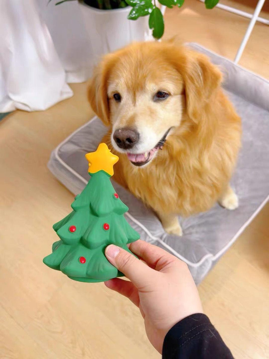Christmas Tree Squeaky Dog Toy, Interactive Chew Pet Latex Toys - Etsy