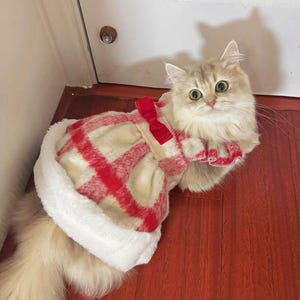 Op de afbeelding: Een pluizige kat met een feestelijke outfit. De outfit bestaat uit een rood geruite jurk met een witte bontrand en een bijpassende rode strik. De kat heeft groene ogen en zit op een houten vloer.