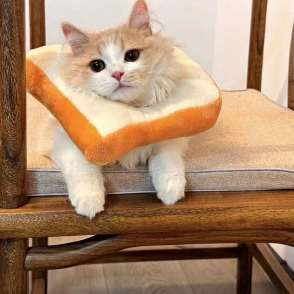 Pet Collar, Cat Costume, Toast, Bread, Waffle, Funny Headwear