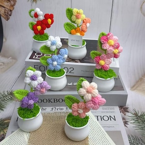customed Handmade Crochet Flower Pot, Boho Desk Decor, Birthday Gift