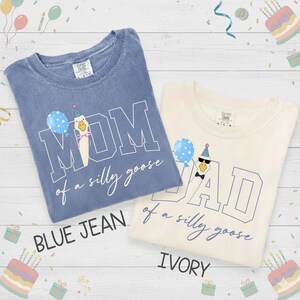 One Silly Goose 1st Birthday Matching Family Shirt, Silly Goose Birthday, Mama Goose Shirt, Silly Goose Party, Gift For Mom and Dad.