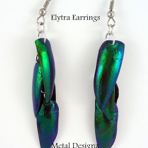 Elytra Beetle Shells Earrings