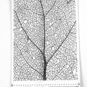 May include: A black and white image of a leaf vein pattern. The image is 3 inches by 4 inches and is printed on a white background. The image is labeled "3x4 Leaf Veins" and "www.metaldesignz.com".