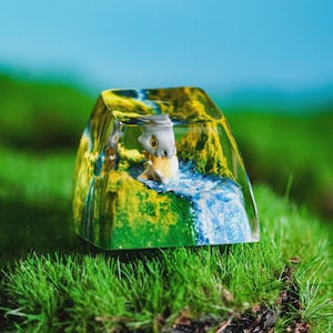 Puede incluir: Una tecla rectangular transparente con una figura en miniatura en su interior. La figura es un personaje de dibujos animados blanco y amarillo, sobre un fondo de cascada y paisaje verde y amarillo. La tecla está colocada sobre un lecho de hierba verde.