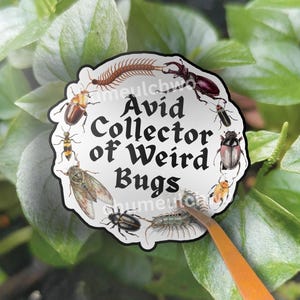 May include: A white sticker with the text "Avid Collector of Weird Bugs" surrounded by various insect illustrations. The sticker is set against a backdrop of green leaves and a brown object.
