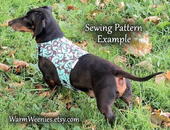 Dachshund harness pattern clearance
