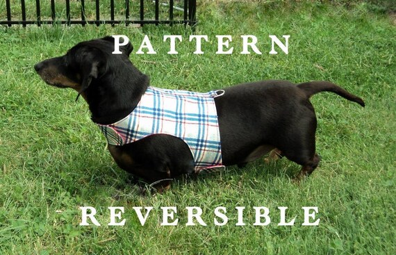Dachshund Small Dog Harness Sewing Pattern With Leash Instructions Too. Reversible Etsy