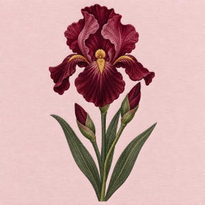 May include: An embroidered illustration of a deep burgundy iris flower with a yellow center, featuring two closed buds and long green leaves on a solid light pink background. The stitching creates a textured appearance for the petals.