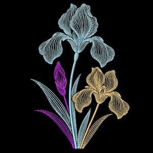 Iris Flower Machine Embroidery Design Botanical Garden Floral Line Art
