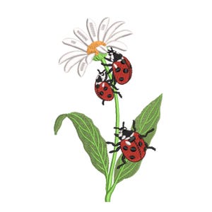 Puede incluir: Un diseño bordado que presenta una margarita blanca con un centro naranja, hojas verdes y tres mariquitas rojas con lunares negros. Las mariquitas están posicionadas en la flor y el tallo, creando una imagen con temática de la naturaleza.