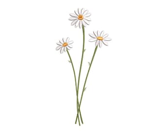 Daisy Trio –  Floral Embroidery Design