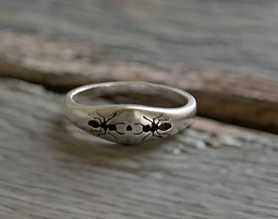 Signet Insect 14K Gold Plated Ant Signet Ring - Dainty Insect Jewellery - Minimalist ...