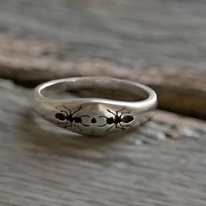Anello con sigillo a forma di formica placcato oro 14K - Delicato gioiello a forma di insetto - Anello minimalista a forma di insetto per lei.