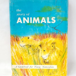 1958 The Story of Animals, Mammals Around The World: A Guidebook for Young Naturalists - Vintage Fifties Kid&#39;s Book
