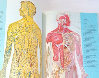 1965 Today&#39;s Health Guide: Vintage American Medical Association Book