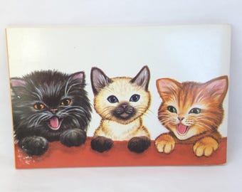 絵本・児童書 A Cat Can't Count Cats Can't Read: Struthers, Alfred M., Adam, Sarah: 9798987073698