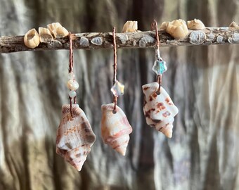 M E R F O L K - natural shell and copper earrings