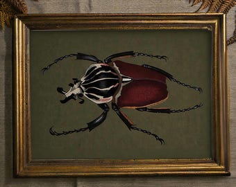 May include: A framed insect illustration. The artwork features a large beetle with a striped head, red and brown body, and black legs. The frame is gold-colored, and the background is a muted green. Dried fern leaves are placed above the frame.