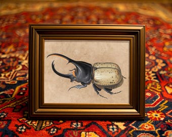 May include: A framed illustration of a rhinoceros beetle. The beetle is depicted in detail with a black head and horns, and a tan and speckled body. The frame is a dark brown color, and the background is a tan color.