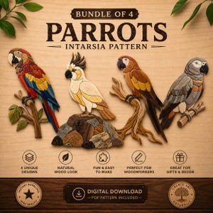 4 Parrots Intarsia Patterns Bundle PDF, Macaw & Cockatoo Scroll Saw Templates, African Grey Parrot Woodworking Designs, A4 Size Art PNG