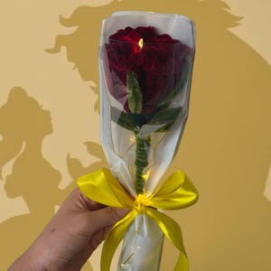 Op de afbeelding: Een rode roos, verpakt in doorzichtig cellofaan en vastgebonden met een gele strik. De roos heeft groene bladeren en een stengel. De achtergrond is effen geel met silhouetten van een vrouw en een beest.