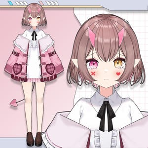 Premade Live2D Vtuber Model: Ready to Use, VTubeStudio Compatible