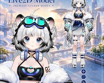 Premade Live2D Vtuber Model: Ready to Use, VTubeStudio Compatible