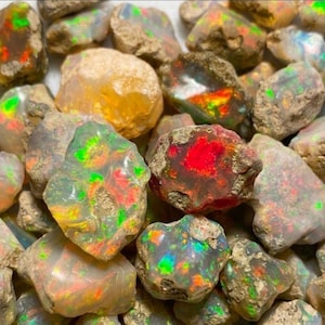 May include: A collection of raw, unpolished opal stones featuring a variety of irregular shapes and textures. The stones display vibrant flashes of red, green, and orange play-of-color against translucent, milky white, and earthy brown base tones.