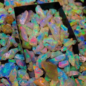 Può includere: Primo piano di una collezione di opali grezzi, che mostra un vibrante gioco di colori. Gli opali, di varie forme, presentano blu, verdi, rosa e gialli, con una qualità traslucida. Alcuni opali sono in un vassoio nero.