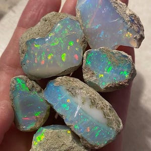 May include: A collection of six raw opal stones featuring a milky white base with vibrant flashes of green, blue, and orange fire. Each stone retains its natural, rough, and unpolished rock matrix edges, showcasing a translucent, iridescent interior.