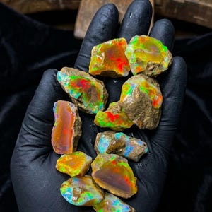 May include: A collection of raw, unpolished opal stones featuring vibrant flashes of neon green, bright orange, and deep red play-of-color against a natural, earthy brown matrix. The stones are irregular in shape with varied textures.