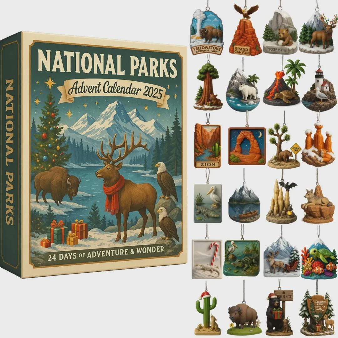 Discover National Parks Advent Calendar 2025, Christmas Gift for Hiker Traveler, Adventure Nature Lover Ornament Set
