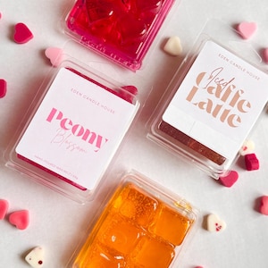 Geurende gelwaxmelts | Veganistische huisgeur