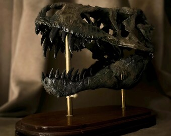 ティラノサウルス・レックスの頭蓋骨レプリカ – リアルな恐竜化石彫刻