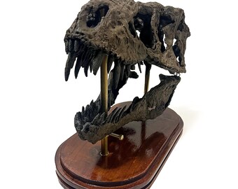 ティラノサウルス T-レックスの恐竜の頭蓋骨 レプリカ 恐竜の化石の