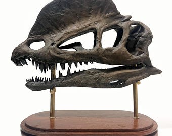 Replica dilophosaurusschedel – realistische replica van fossiele dinosauriërs – 3D-geprint en handgeschilderd verzamelobject