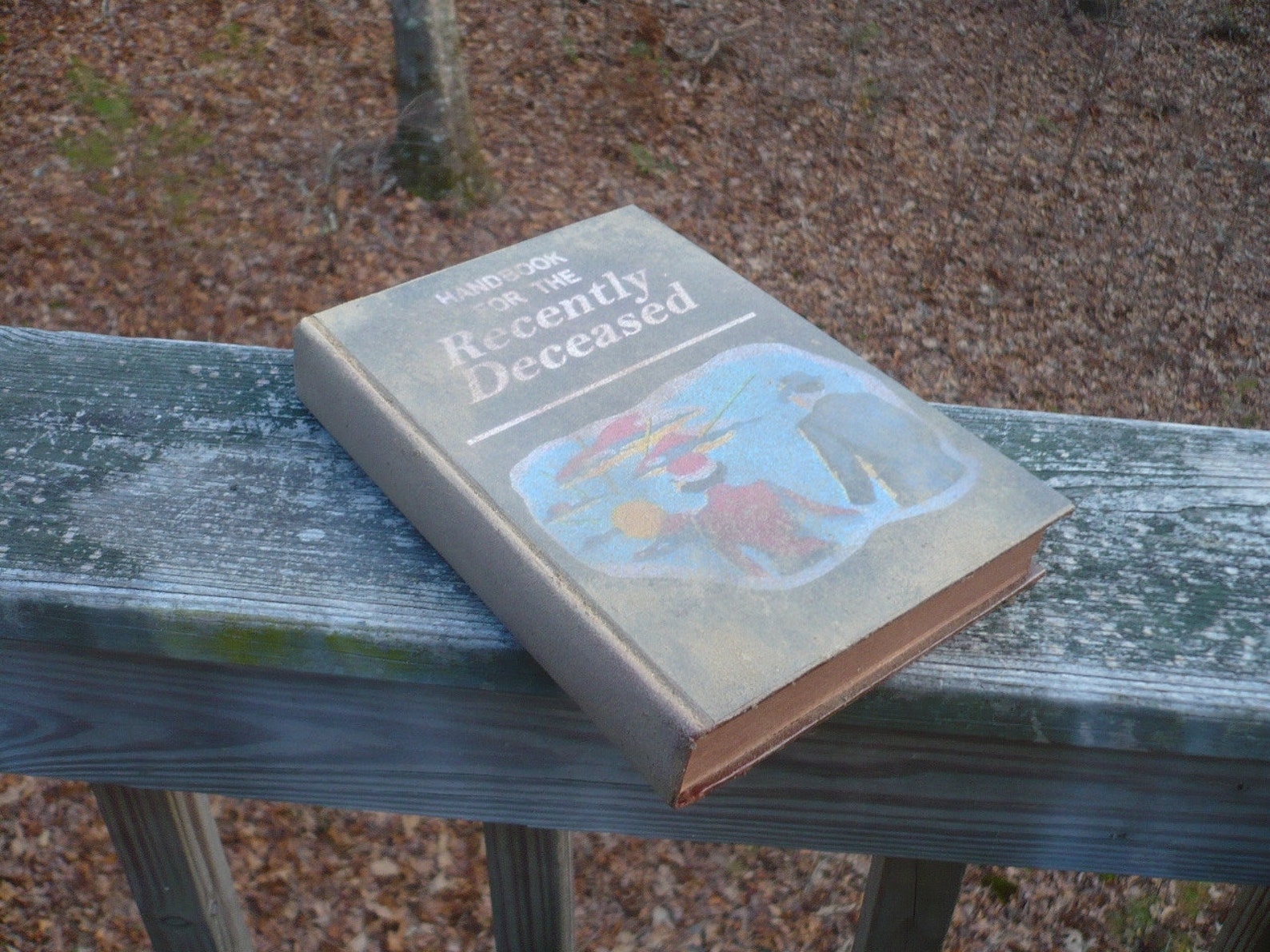 Beetlejuice Handbook for the Recently Deceased prop ...